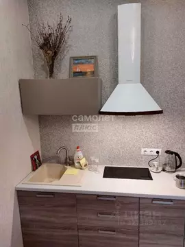 1-к кв. Краснодарский край, Сочи ул. Яна Фабрициуса, 2/26А (28.0 м)