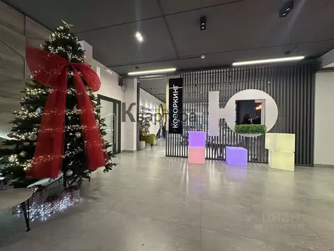 Студия Смоленская область, Смоленск проезд Маршала Конева, 32 (20.0 м)