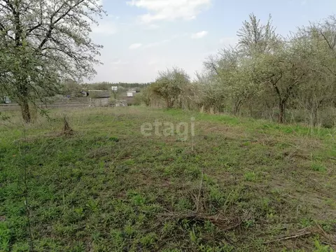 Участок в Брянская область, Брянский район, Мичуринское с/пос, ...