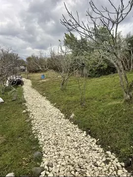 Участок в Краснодарский край, Сочи городской округ, с. Черешня ул. ...