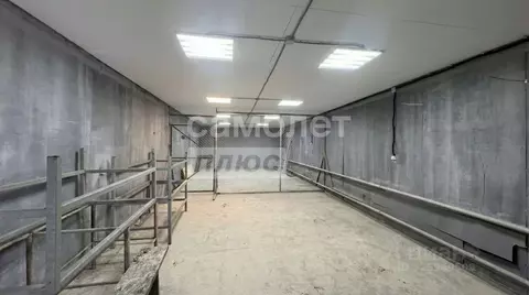 Помещение свободного назначения в Брянская область, Брянский район, ...