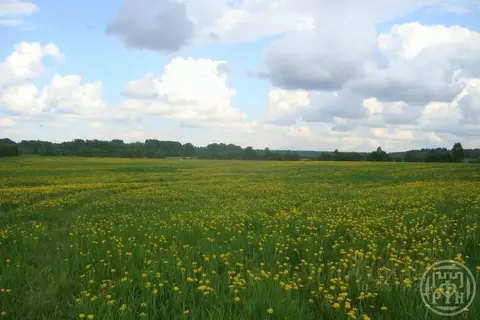 Участок в Ленинградская область, Выборгский район, Красносельское ...
