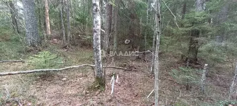 Участок в Ленинградская область, Всеволожский район, Юкковское с/пос, ...