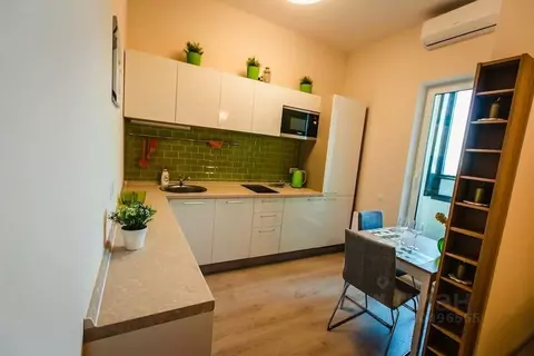 Студия Санкт-Петербург Приморский просп., 52К1 (30.0 м)