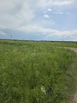 Участок в Смоленская область, Гагаринский муниципальный округ, д. ...
