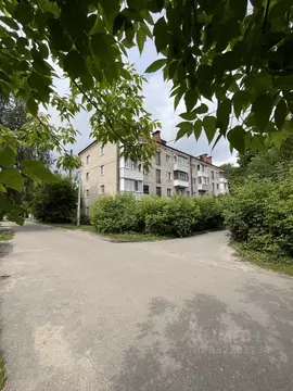 2-к кв. Московская область, Ногинск Богородский городской округ, ул. ...