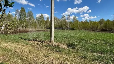 Участок в Тюменская область, Нижнетавдинский район, Моторостроитель ...