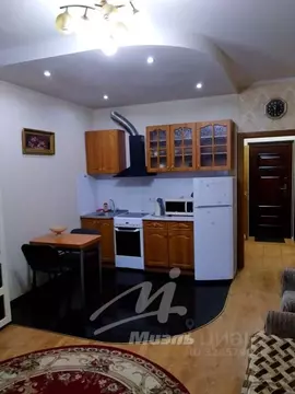 Студия Московская область, Щелково Московская ул., 37 (29.6 м)