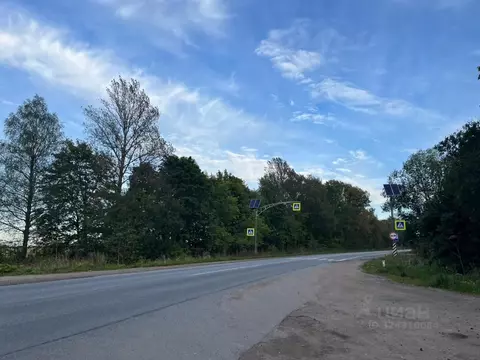 Участок в Ленинградская область, Ломоносовский район, Лопухинское ...