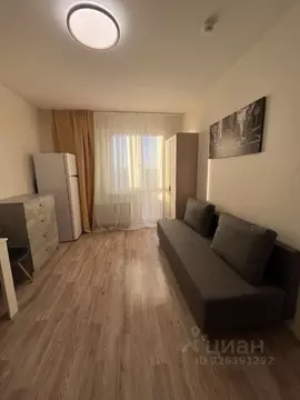 Студия Санкт-Петербург наб. Реки Каменки, 23 (21.0 м)