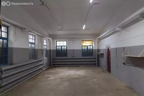 Помещение свободного назначения (81.8 м)