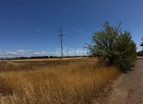 Участок в Крым, Симферопольский район, Николаевское с/пос, с. ...