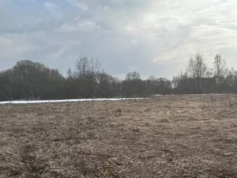 Участок в Московская область, Можайский муниципальный округ, д. ...