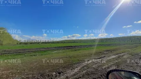 Участок в Челябинская область, Чебаркульский район, д. Сарафаново  ...