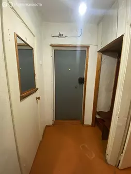 1-комнатная квартира: Кстово, 2-й микрорайон, 25 (21.8 м)