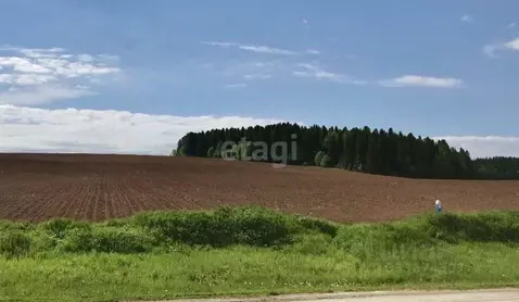 Участок в Пермский край, Пермский муниципальный округ, с. Башкултаево  ...