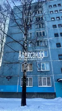 1-к кв. Санкт-Петербург Искровский просп., 28 (28.9 м)