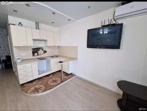 Квартира-студия: Волгоград, улица Тимирязева, 13 (27.2 м)