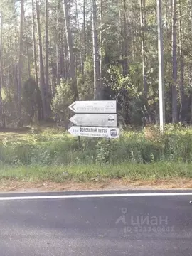 Участок в Псковская область, Печорский муниципальный округ, д. Вашина ...