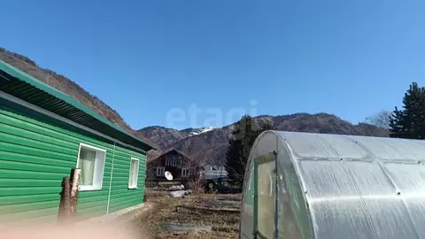 Дом в Алтай, Усть-Коксинский район, с. Чендек  (100 м)