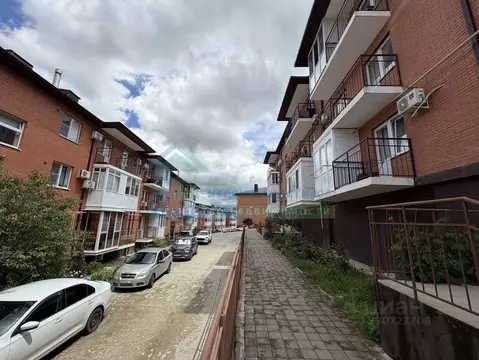 Студия Краснодарский край, Новороссийск Цемдолина тер., ул. Парковая, ...