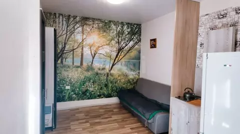 Студия Алтайский край, Барнаул ул. 40 лет Октября, 29А (18.7 м)