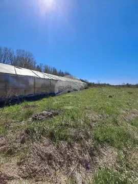 Участок в Новгородская область, Новгородский район, Трубичинское ...