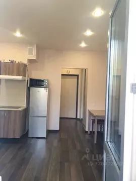 Студия Санкт-Петербург ул. Среднерогатская, 16к4 (24.0 м)