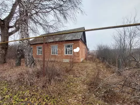 Дом в Мордовия, Большеберезниковский район, с. Паракино Набережная ...
