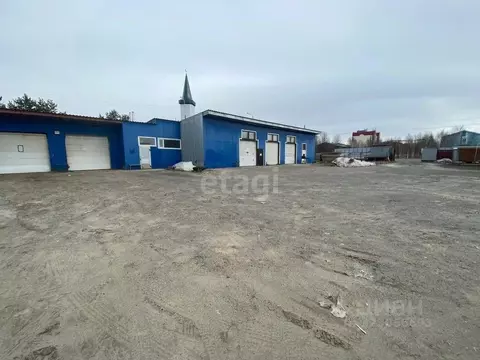 Торговая площадь в Ханты-Мансийский АО, Сургутский район, пос. ...