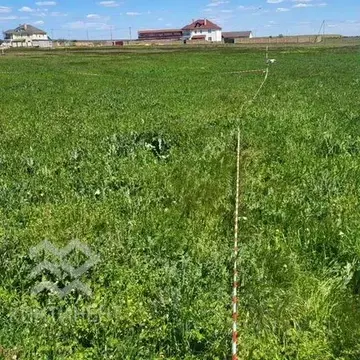 Участок в Крым, Черноморский район, Медведевское с/пос, с. Медведево ...