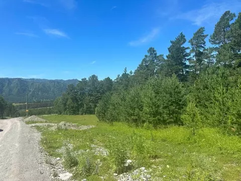 Участок в Алтай, Чемальский район, Элекмонарское с/пос, с. Элекмонар  ...
