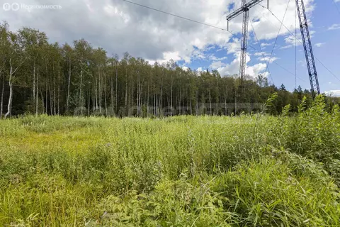 Участок в Наро-Фоминский городской округ, садовое товарищество ...