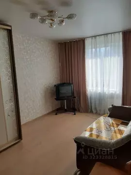 Комната Свердловская область, Екатеринбург ул. Белинского, 220к9 (15.0 ...