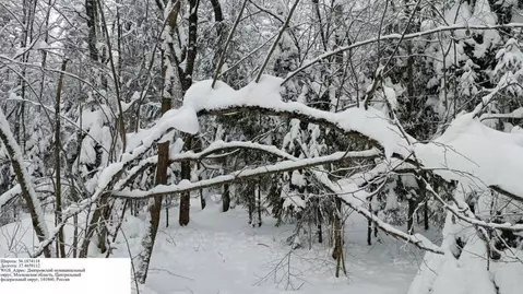 Участок в Московская область, Дмитровский муниципальный округ, Икша ...