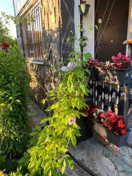 Дом в Брянская область, Брянский район, Нетьинское с/пос, Лесная ...