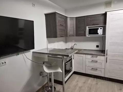 Студия Тюменская область, Тюмень ул. Фармана Салманова, 10 (20.0 м)