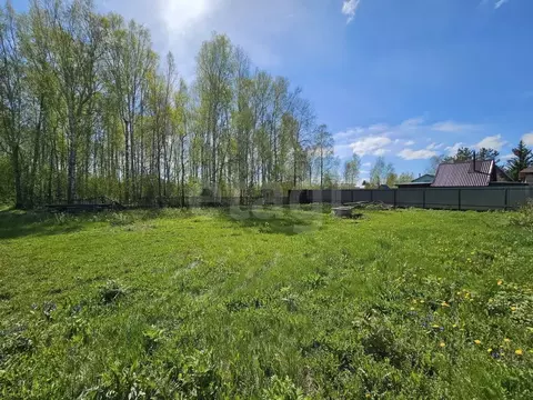 Участок в Тюменская область, Тюмень Березовая роща СНТ, ул. Липовая, ...
