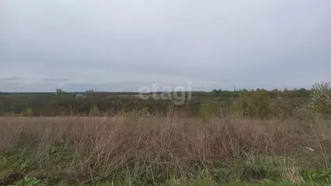 Участок в Белгородская область, Белгородский район, Ериковское с/пос, ...
