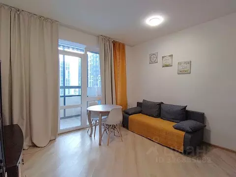 Студия Санкт-Петербург Студенческая ул., 14к1 (25.0 м)