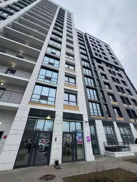 Студия Санкт-Петербург Кубинская ул., 82к3 (24.0 м)