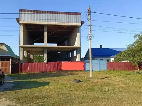 Помещение свободного назначения в Краснодарский край, Темрюк ул. ...