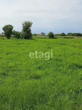 Участок в Амурская область, Благовещенский район, с. Ровное  (10.0 ...