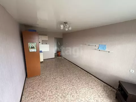 Студия Кемеровская область, Кемерово Ногинская ул., 10а (22.2 м)