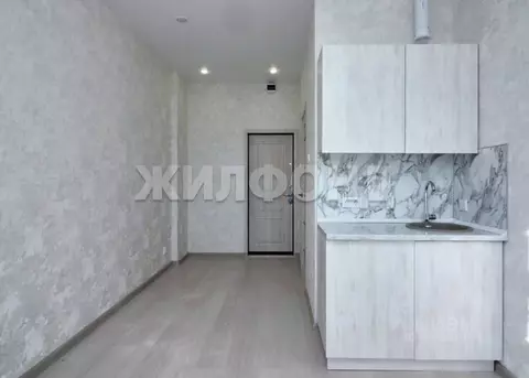 1-к кв. Новосибирская область, Новосибирск ул. Никитина, 3 (17.0 м)