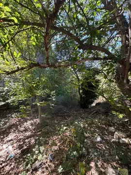 Участок в Севастополь ул. Восточная, 11Б (9.1 сот.)