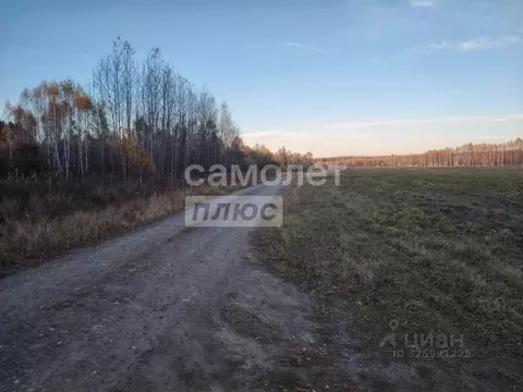 Участок в Тюменская область, Тюменский муниципальный округ, д. Чаплык ...