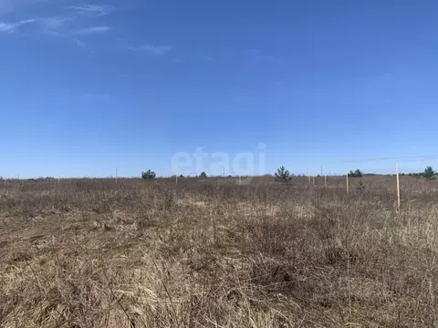 Участок в Курская область, Курский район, Моковский сельсовет, д. 1-я ...