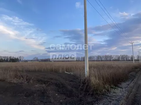 Участок в Липецкая область, Липецкий муниципальный округ, с. Ленино  ...