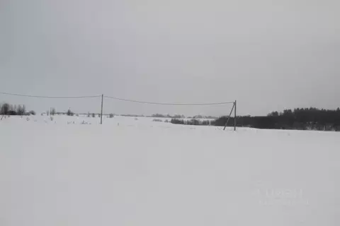 Участок в Московская область, Шаховская муниципальный округ, д. ...